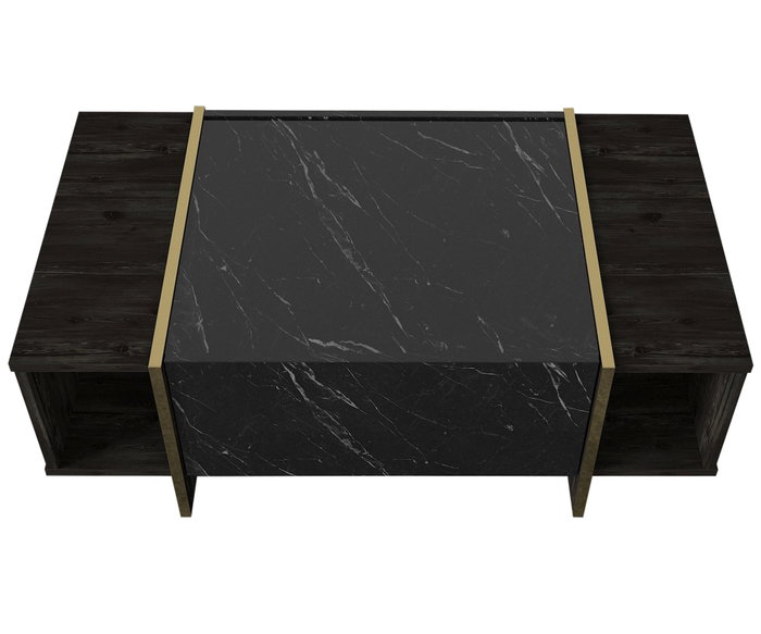 Hanah Home Veyron Mesa de Centro Negro y Dorado